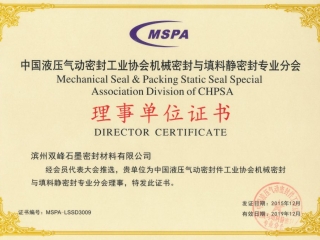 MSPA 理事单位证书 Director Certificate